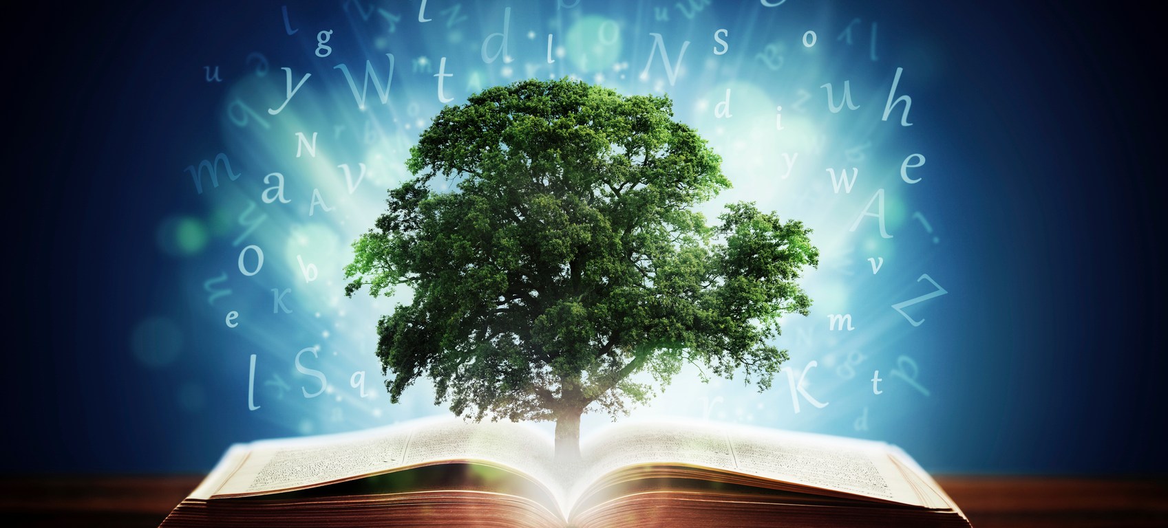 Tree growing out of open book